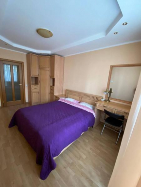 Apartment Mala Zhytomyrska 10